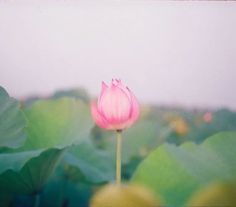 1597113525483344.jpeg 640.jpeg