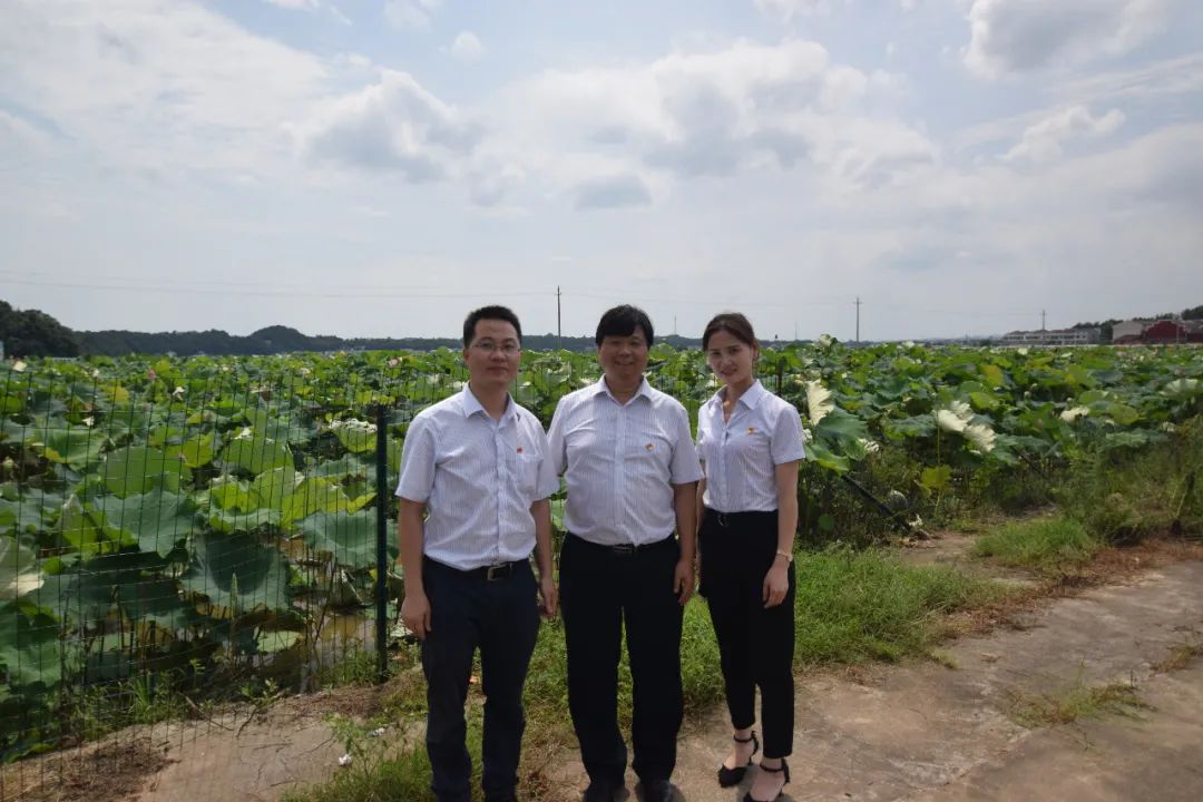 1597113657402150.jpeg 640-6.jpeg