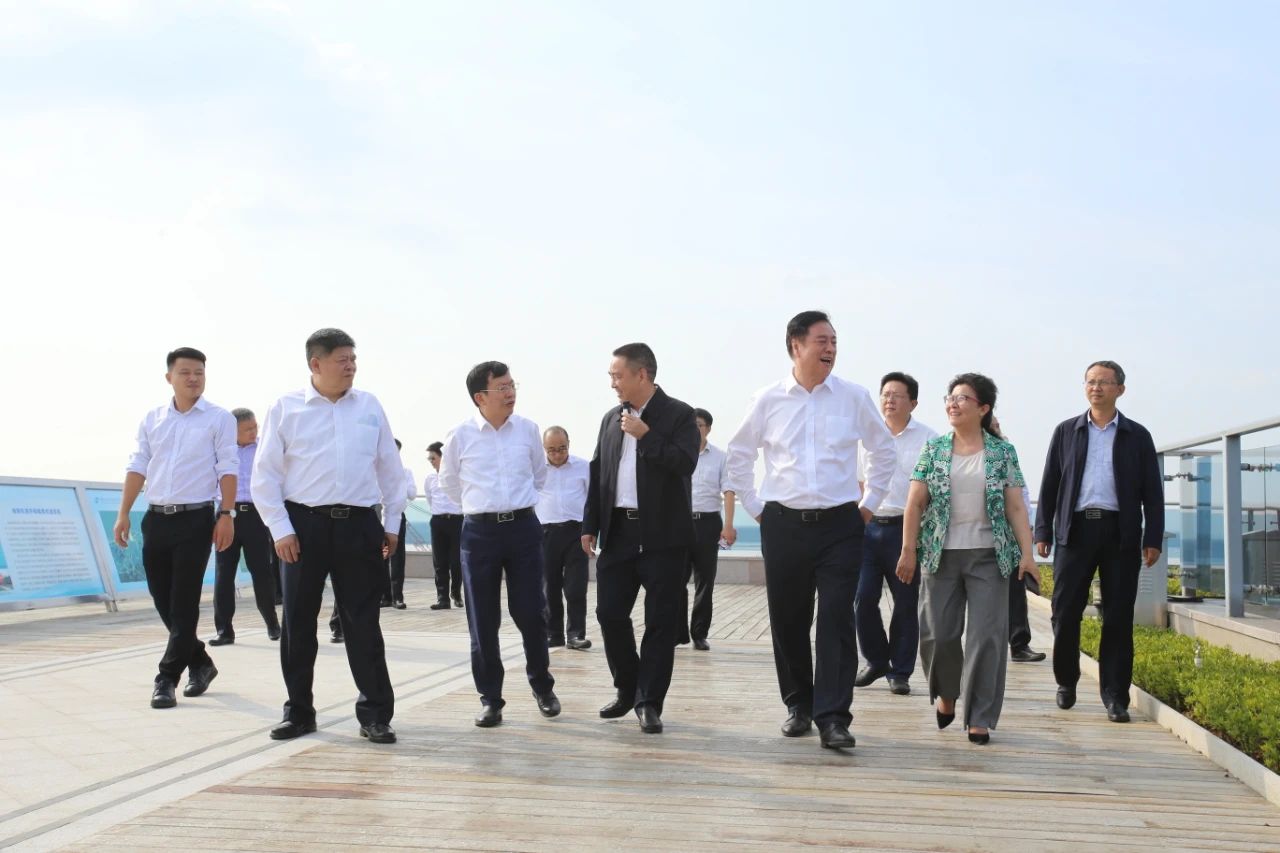 1605001366163699.jpg 4.jpg