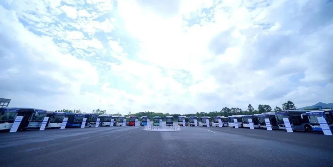 1605002718577452.jpg 1.jpg