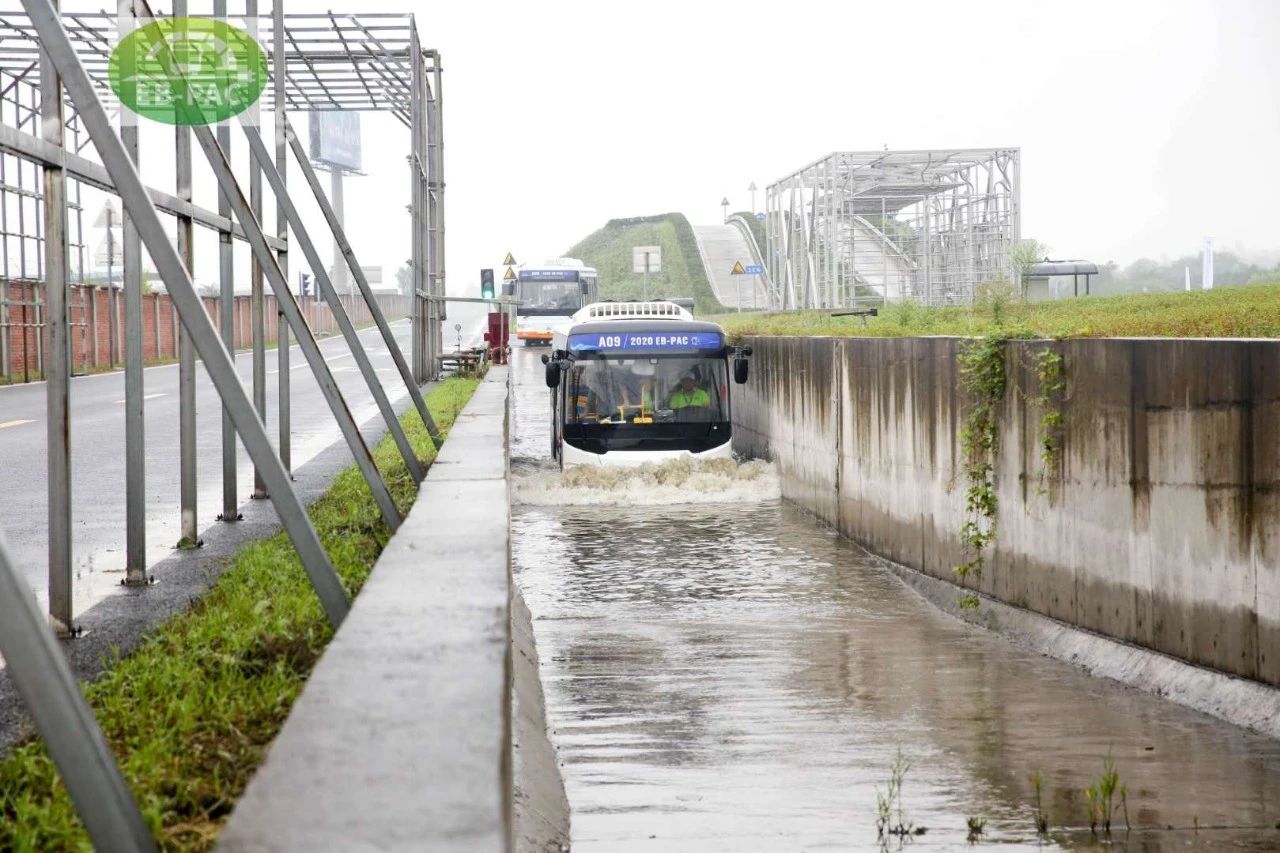 1605002784700035.jpg 7.jpg