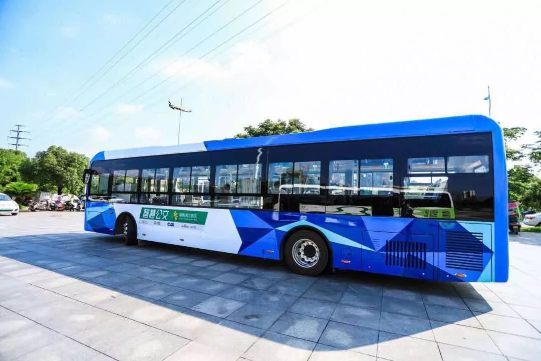 1563948069626990.jpeg 640-13.jpeg